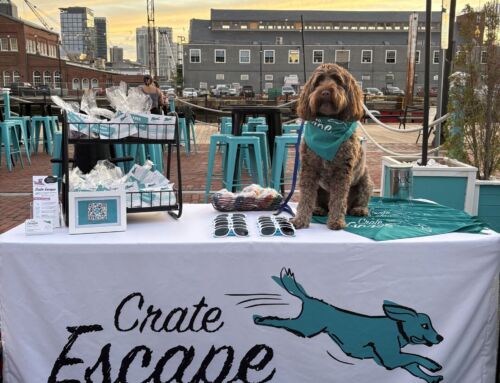 Tails Are Wagging: Crate Escape’s Summer Events Are Here!